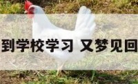 梦见回到学校学习 又梦见回到学校