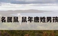 唐姓男孩取名属鼠 鼠年唐姓男孩取名两个字