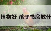 书房放什么植物好 孩子书房放什么风水植物