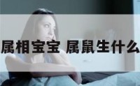 属鼠生什么属相宝宝 属鼠生什么属相宝宝冲