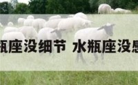 水瓶座没细节 水瓶座没感觉