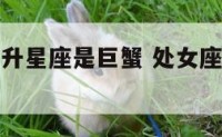 处女座的上升星座是巨蟹 处女座上升是巨蟹座会怎么样