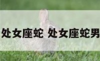 处女座蛇 处女座蛇男