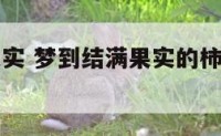 梦到结满果实 梦到结满果实的柿子还吃了一个