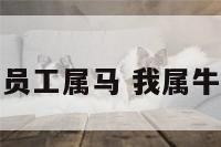 老板属牛员工属马 我属牛老板属马