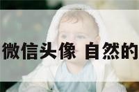 最自然的微信头像 自然的微信昵称