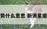 新浪星座运势什么意思 新浪星座网运势星座