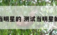 测当明星的 测试当明星的题