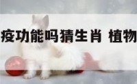 植物也有免疫功能吗猜生肖 植物有免疫调节吗