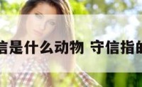 守信是什么动物 守信指的是