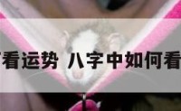 八字中如何看运势 八字中如何看运势最准确