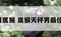 a型天秤男属猴 属猴天秤男最佳结婚对象