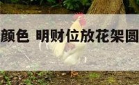 放财位花架颜色 明财位放花架圆的还是方的好