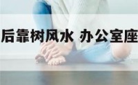 办公室座位后靠树风水 办公室座位后面放什么植物好