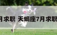 天蝎座7月求职 天蝎座7月求职运势如何