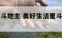 美好生活里斗地主 美好生活里斗地主是哪一集