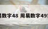 周易数字48 周易数字49吉凶