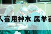 属羊的人喜用神水 属羊喜用神火