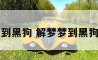解梦梦到黑狗 解梦梦到黑狗咬自己
