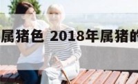 2018年属猪色 2018年属猪的是什么命