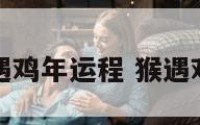 属猴的遇鸡年运程 猴遇鸡年好吗