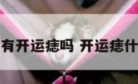 人自上有开运痣吗 开运痣什么意思