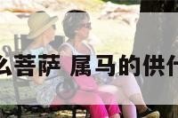 属马的供什么菩萨 属马的供什么菩萨最好