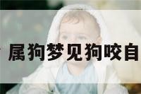 属狗梦 属狗梦见狗咬自己的手