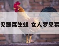女人梦见蔬菜生蛆 女人梦见菜里有蛆