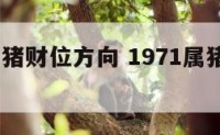 1971属猪财位方向 1971属猪的财神方位