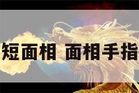 手短面相 面相手指短