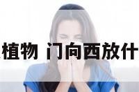 门向西放什么植物 门向西放什么植物风水好