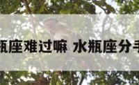 分手的水瓶座难过嘛 水瓶座分手后的心态