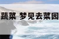 梦见去菜园摘蔬菜 梦见去菜园摘蔬菜什么意思