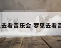t梦见去看音乐会 梦见去看音乐剧