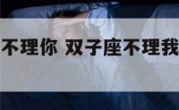 如果双子座不理你 双子座不理我是不是没戏了