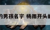 杨雨开头的男孩名字 杨雨开头的女孩名字