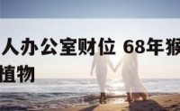68年属猴人办公室财位 68年猴办公室应摆放什么植物