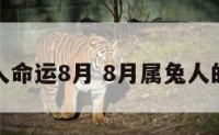 属兔人命运8月 8月属兔人的运势
