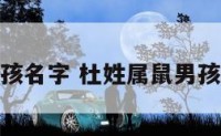 杜姓属鼠男孩名字 杜姓属鼠男孩名字怎么取