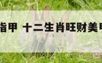 生肖开运指甲 十二生肖旺财美甲颜色2021