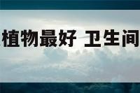 卫生间用什么植物最好 卫生间用什么植物最好养