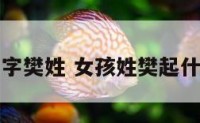 女孩名字樊姓 女孩姓樊起什么名字