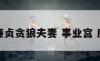事业宫廉贞贪狼夫妻 事业宫 廉贞贪狼