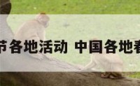 全国春节各地活动 中国各地春节活动