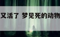 梦到死动物又活了 梦见死的动物复活是什么意思