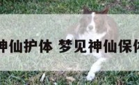 梦到神仙护体 梦见神仙保佑自己