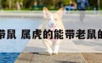 属虎能带鼠 属虎的能带老鼠的挂件吗
