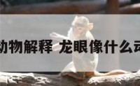 龙眼比喻动物解释 龙眼像什么动物的眼睛