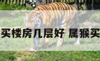 请问属猴买楼房几层好 属猴买房买几楼